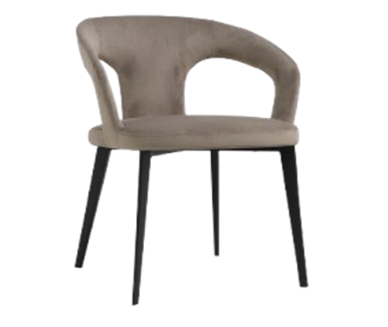 a251 shanghai 0973-0022 terra