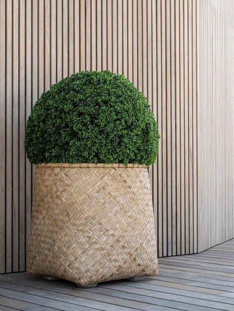 88-00200-s2-01 – Image 4