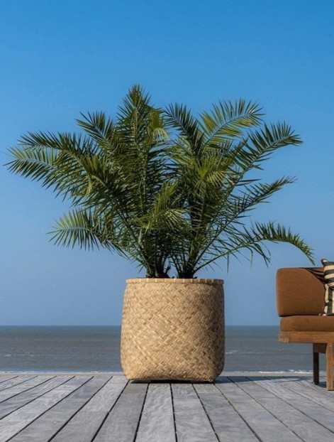 88-00200-s2-01 – Image 5