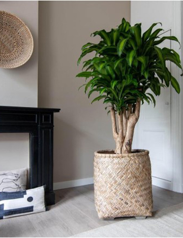 88-00200-s2-01 – Image 3