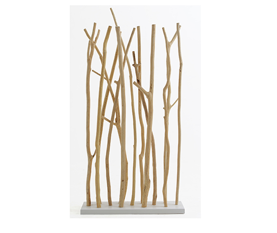 George devider natur