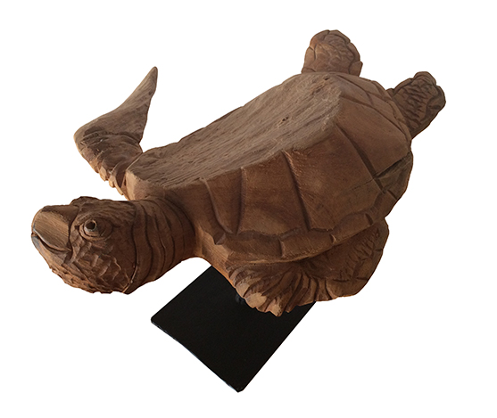 Tortue-pm
